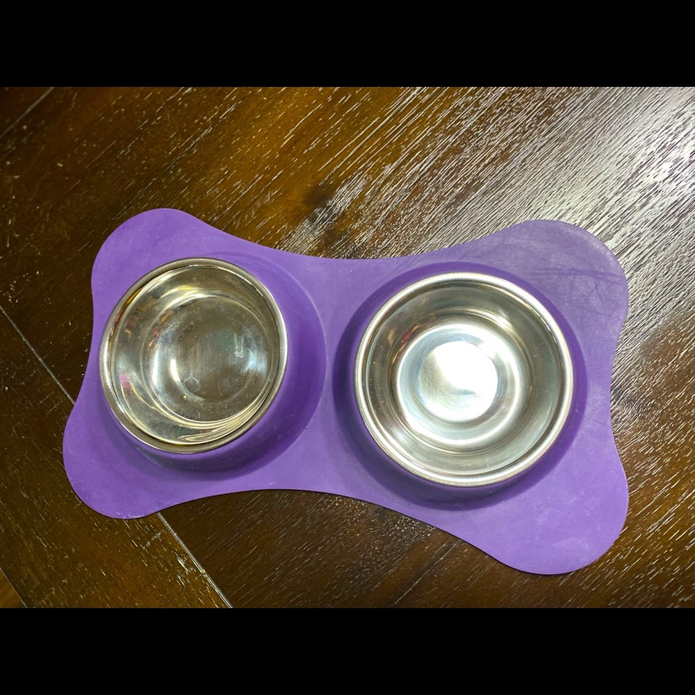 Small dog food and water bowl